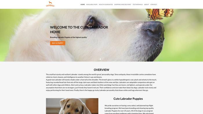 Thelabradorpups.com - Labrador Puppy Scam Review