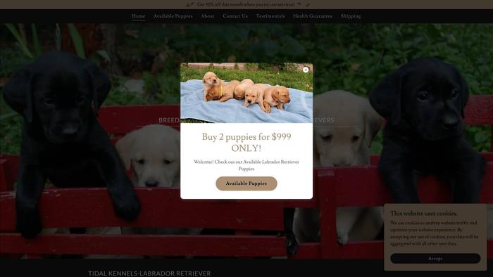 Tidalranchkennel.com - Golden Retriever Puppy Scam Review