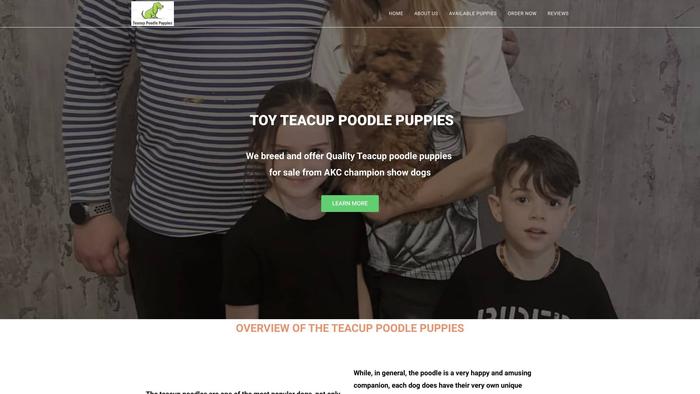 Toyteacuppoodlepuppies.com - Poodle Puppy Scam Review