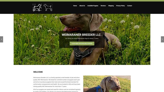 Weimaraner-breeder-llc.com - Weimaraner Puppy Scam Review