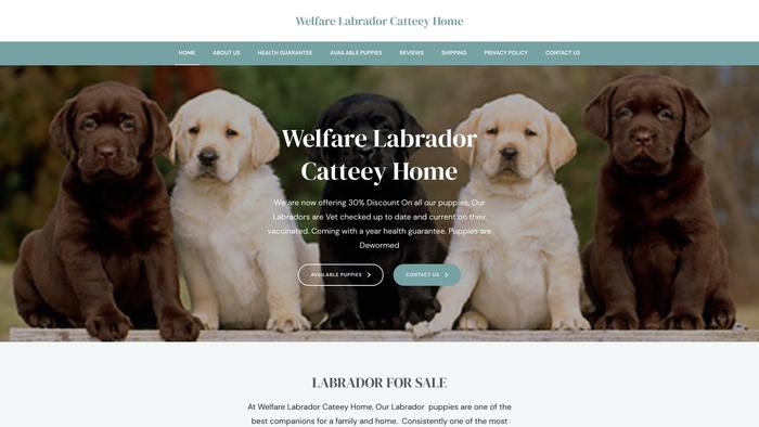 Welfarelabradorcatteeyhome.com - Labrador Puppy Scam Review