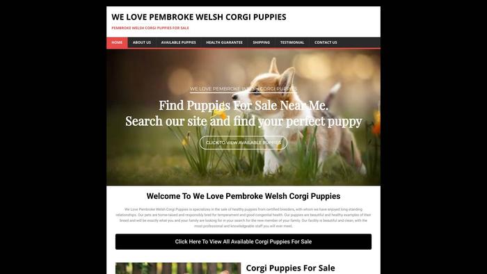 Welovepembrokewelshcorgipuppies.com - Corgi Puppy Scam Review