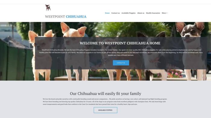 Westpointteacupchihuahua.com - Chihuahua Puppy Scam Review