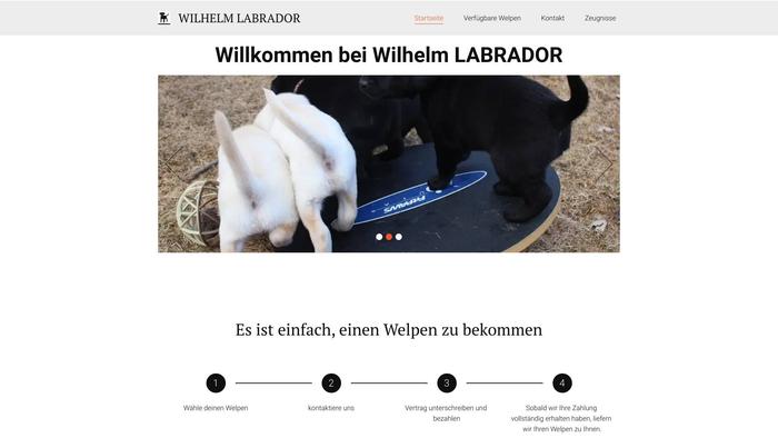 Wilhelmlabrador.net - Labrador Puppy Scam Review