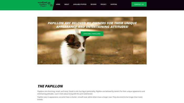 Woodlandpapillonpuppies.com - Papillon Puppy Scam Review