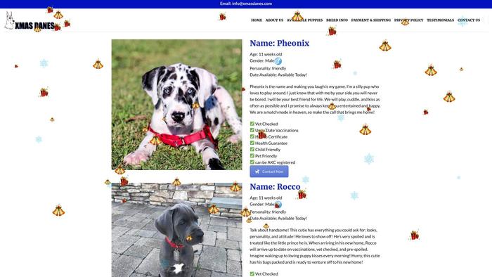 Xmasdanes.com - Great Dane Puppy Scam Review