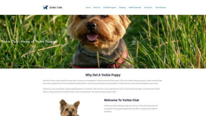 Yorkie-club.com - Yorkshire Terrier Puppy Scam Review