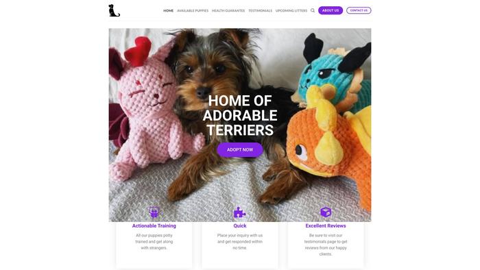 Yorkiepuppiescommune.com - Yorkshire Terrier Puppy Scam Review