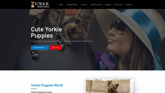 Yorkiepuppiesworld.com - Yorkshire Terrier Puppy Scam Review