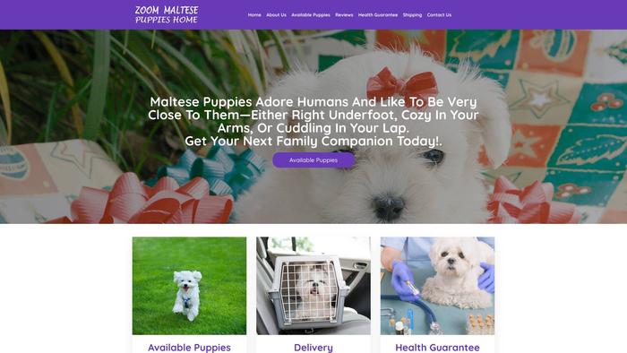 Zoommaltesepuppieshome.com - Maltese Puppy Scam Review