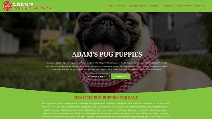 Adamspugpuppies.com - Pug Puppy Scam Review