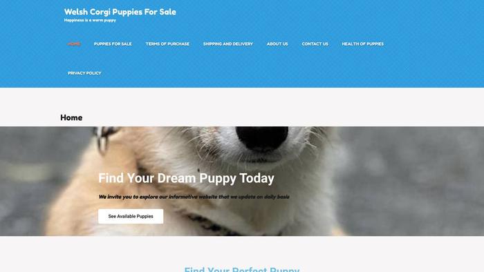 Addorablewelshcorgis.com - Corgi Puppy Scam Review