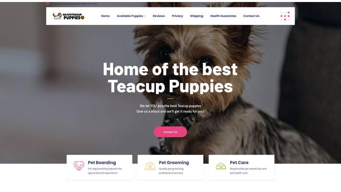 Adjouteacuppupies.com - Yorkshire Terrier Puppy Scam Review