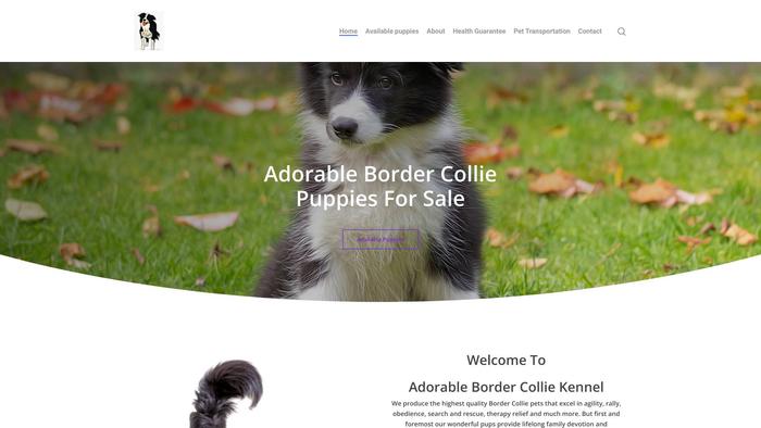 Adorablebordercollie.dog - Bordercollie Puppy Scam Review