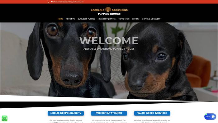 Adorabledachshundpuppies4homes.com - Dachshund Puppy Scam Review