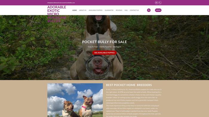 Adorableexoticmicroamericanbullies.com - Pit Bull Puppy Scam Review