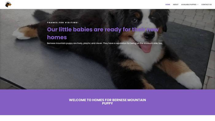 Adorablehomeforbernesemountainpups.com - Bernese Mountain Dog Puppy Scam Review