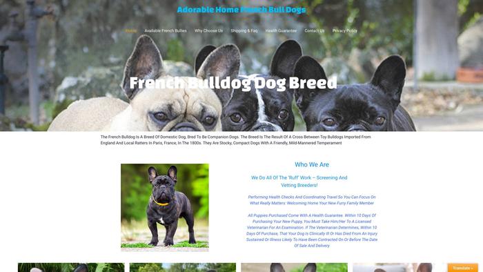 Adorablehomefrenchbulldogs.com - French Bulldog Puppy Scam Review