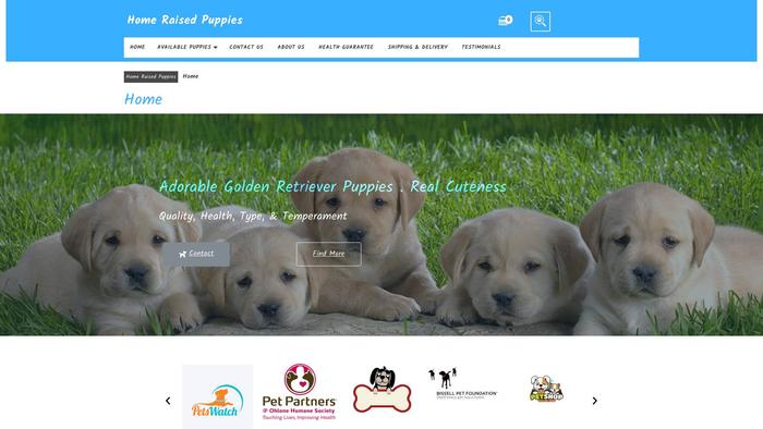 Adorablehomeraisedpuppies.com - Labrador Puppy Scam Review