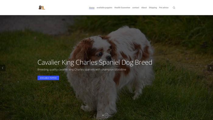 Adorablekingcharlespuppies.com - Cavalier King Charles Spaniel Puppy Scam Review