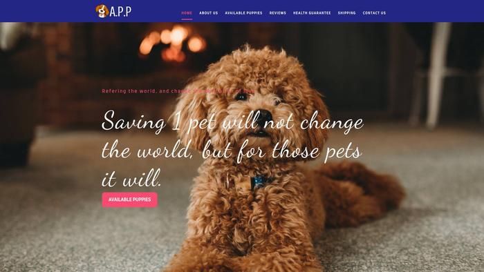 Adorablepoodlepuppies.com - Poodle Puppy Scam Review