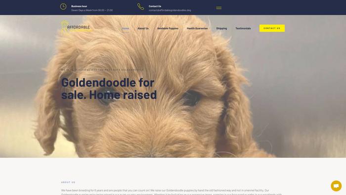 Affordablegoldendoodles.dog - Golden Doodle Puppy Scam Review