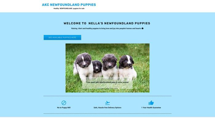 Akc-newfoundlandpupp.net - Saint Bernard Puppy Scam Review