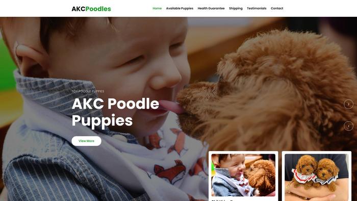 Akcpoodlepuppies.com - Poodle Puppy Scam Review