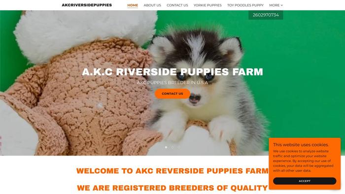 Akcriversidepuppies.com - Yorkshire Terrier Puppy Scam Review