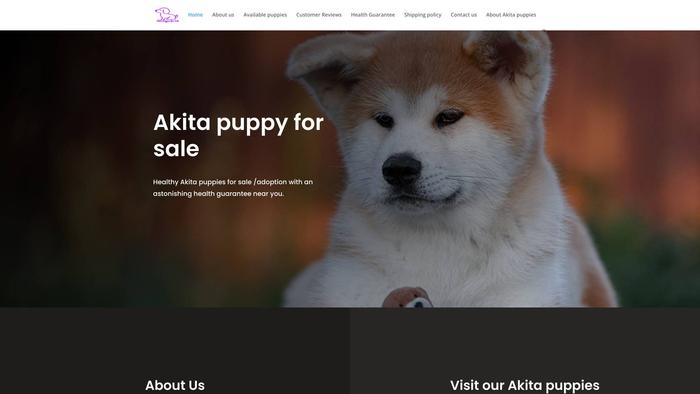 Akitapuppysforsale.com - Akita Puppy Scam Review