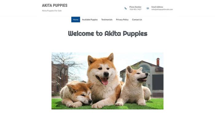 Akitapupsforsale.com - Akita Puppy Scam Review