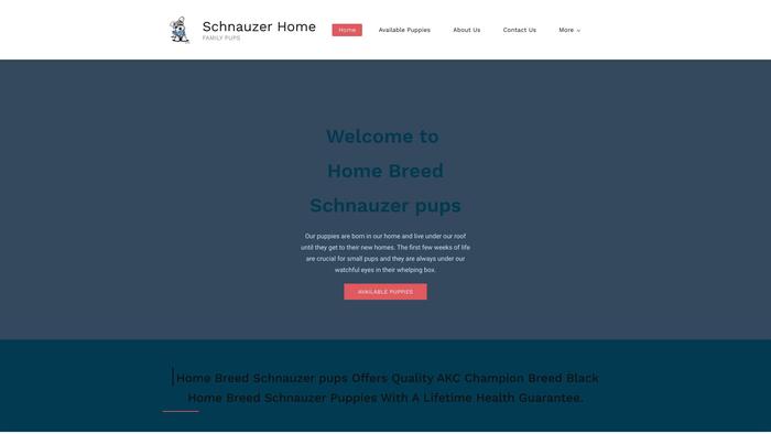 Allsizeschnauzershouse.com - Schnauzer Puppy Scam Review