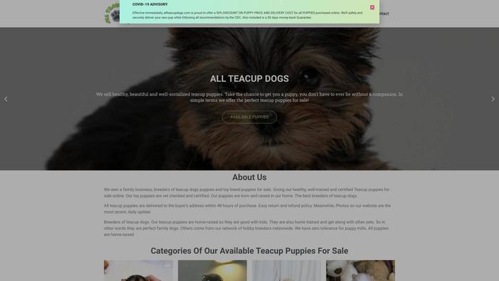 Allteacupdogs.com - Yorkshire Terrier Puppy Scam Review