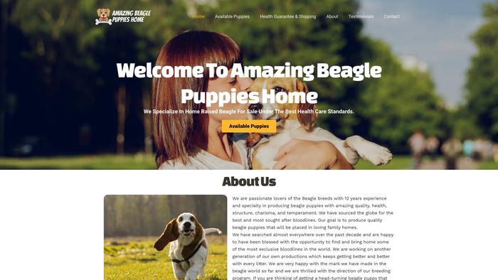 Amazingbeaglepuppieshome.com - Beagle Puppy Scam Review