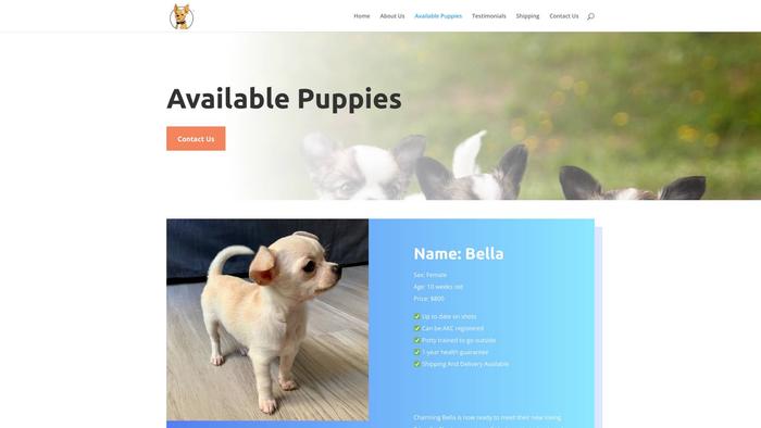 Amazingchihuahuapups.com - Chihuahua Puppy Scam Review