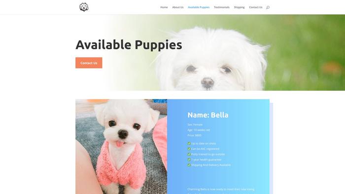 Amazingmaltesepups.com - Maltese Puppy Scam Review