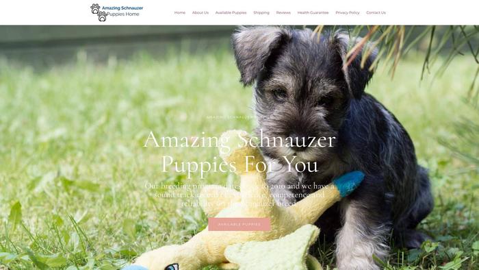 Amazingschnauzerpupshome.com - Schnauzer Puppy Scam Review