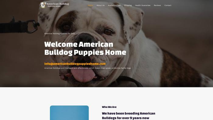 Americanbulldogpuppieshome.com - Bulldog Puppy Scam Review