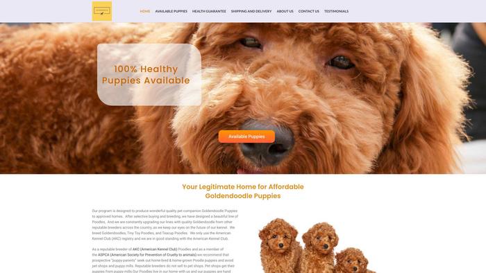 Andresgoldendoodle.com - Golden Doodle Puppy Scam Review