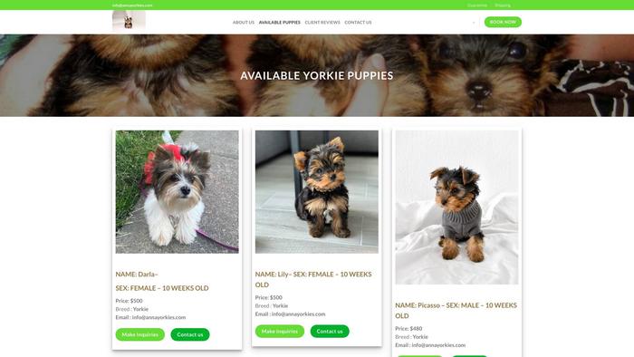 Annayorkies.com - Yorkshire Terrier Puppy Scam Review