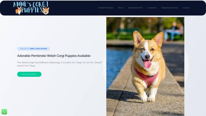 Annecorgi.com - Corgi Puppy Scam Review