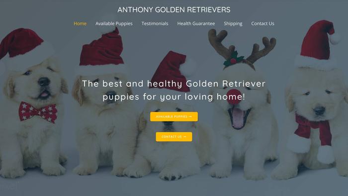 Anthonygoldenretriever.com - Golden Retriever Puppy Scam Review