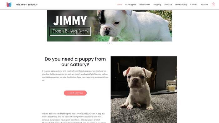 Arifrenchbulldogshome.com - French Bulldog Puppy Scam Review