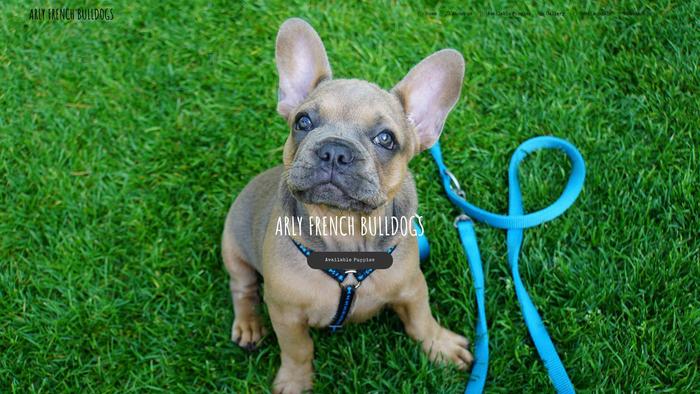 Arlyfrenchbulldogs.com - French Bulldog Puppy Scam Review