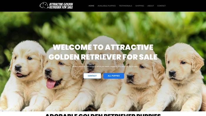 Attractivegoldenretrieverforsale.com - Golden Retriever Puppy Scam Review