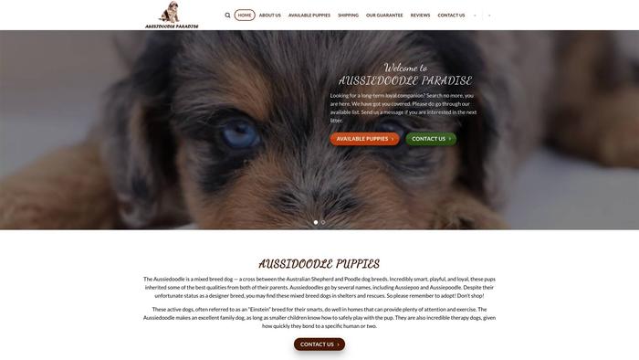 Aussiedoodleparadise.com - Australian Shepherd Puppy Scam Review