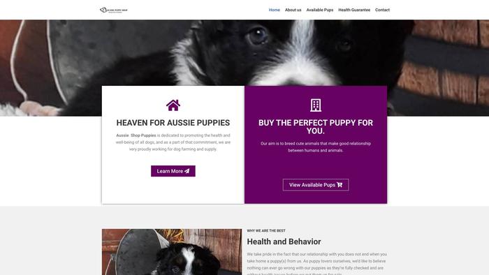 Aussiepuppyshop.com - Australian Shepherd Puppy Scam Review