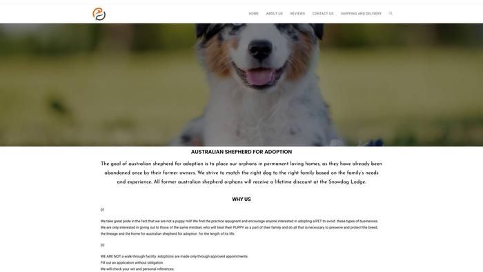 Australianshepherdforadoption.com - Germanshepherd Puppy Scam Review