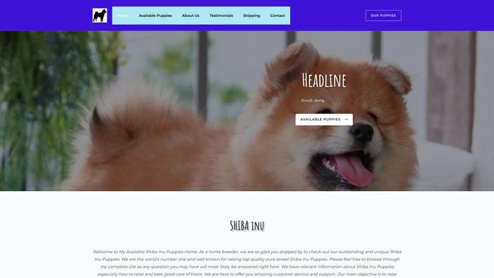 Availableshibas.com - Shibhainu Puppy Scam Review