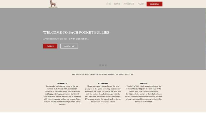 Bachpocketbullies.com - French Bulldog Puppy Scam Review